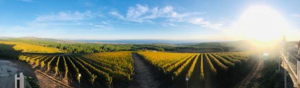 Chateau kalpak şarap wine